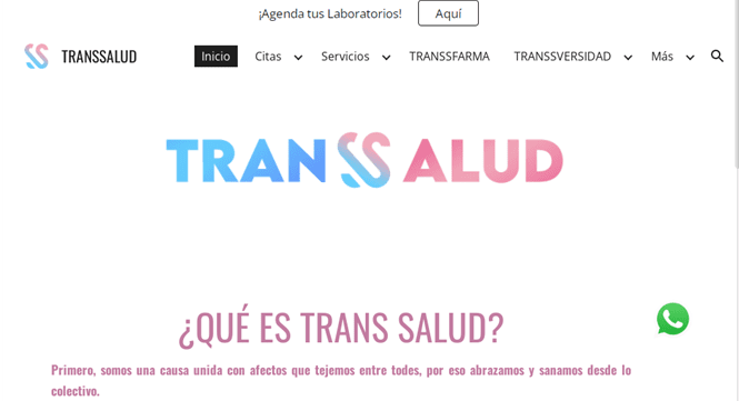 Mujeres Trans, Transsalud, LGBT