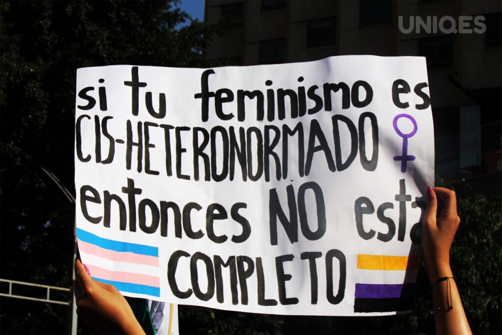 Marcha del 8M, Día internacional de la mujer, Feminismo interseccional