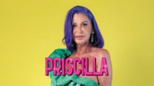 Priscilla, reina del desierto. El Musical